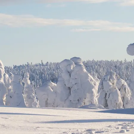 Βίλα Lapland Pyhätunturi