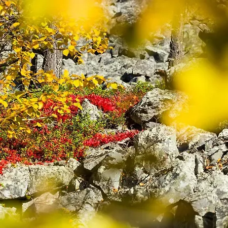 Lapland Βίλα *