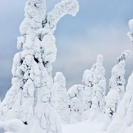 Βίλα Lapland *