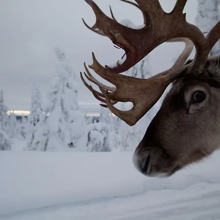 Lapland Pyhätunturi