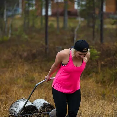 Lapland Βίλα