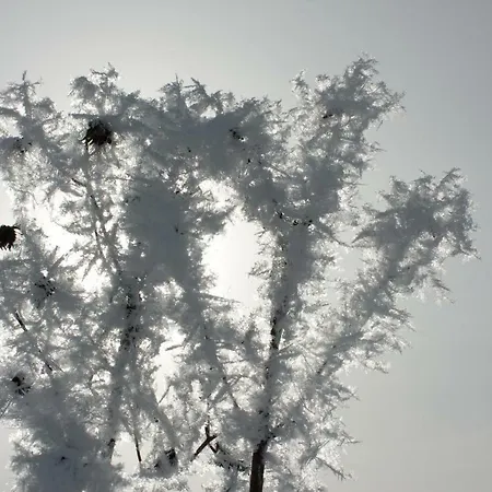 Βίλα Lapland